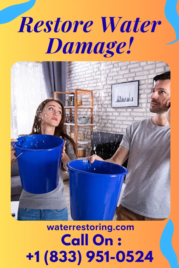 water restoration Expert Damage Restoration Brothers Paddock Lake