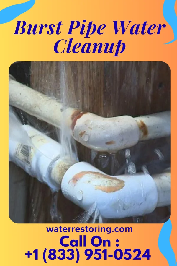 Burst Pipe Water Cleanup in Paddock Lake, WI