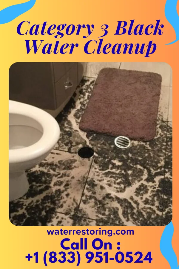 Category 3 Black Water Cleanup in Paddock Lake, WI