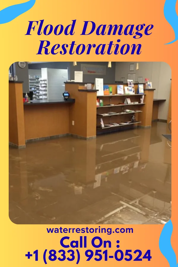 Flood Damage Restoration in Paddock Lake, WI