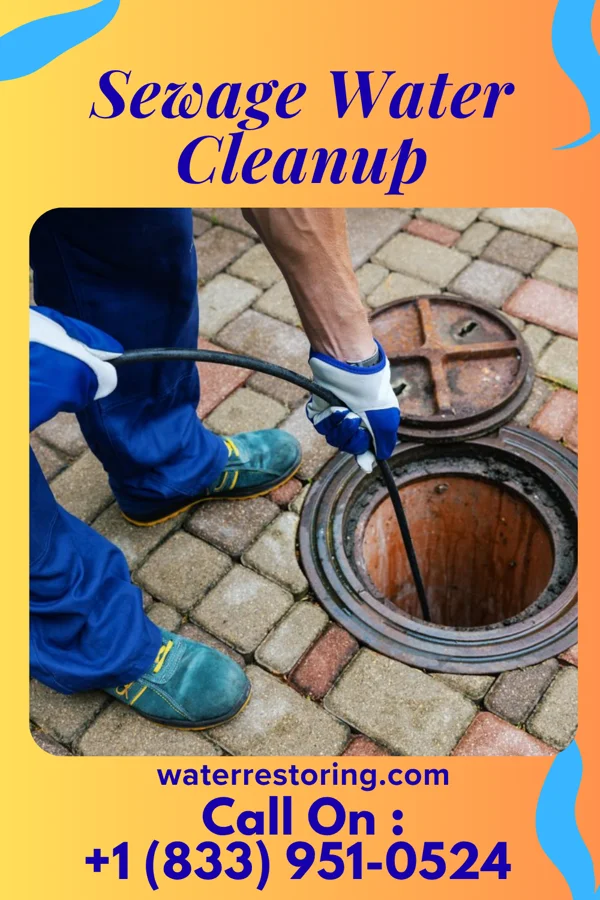 Sewage Water Cleanup in Paddock Lake, WI